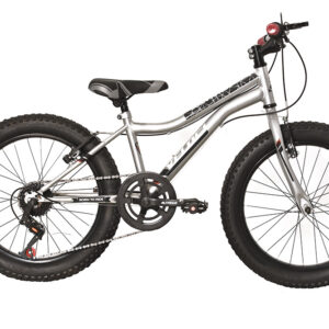 Bicicleta Veloci Born To Ride R20 Plata