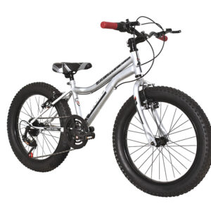 Bicicleta Veloci Born To Ride R20 Plata