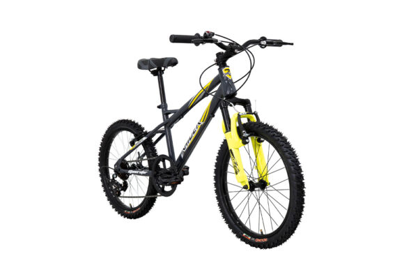 Bicicleta Raider Generator Rodada 20 Gris