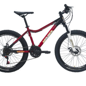 Bicicleta Veloci Wanderer S/Del R24 Rojo