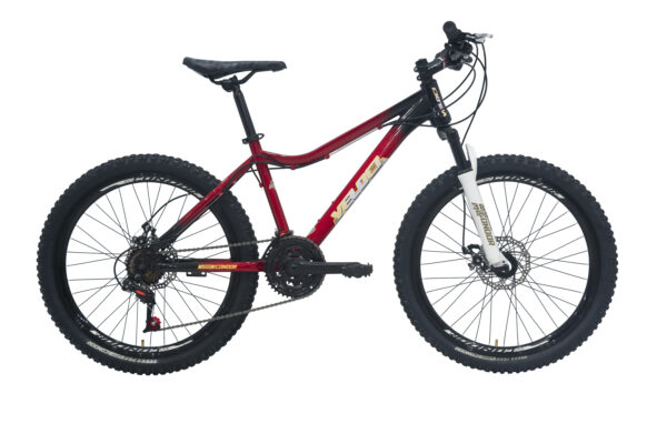 Bicicleta Veloci Wanderer S/Del R24 Rojo