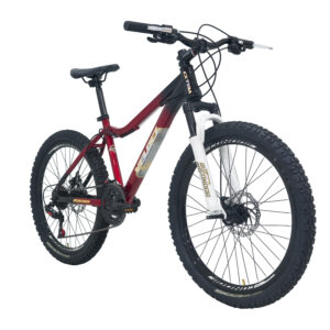 Bicicleta Veloci Wanderer S/Del R24 Rojo