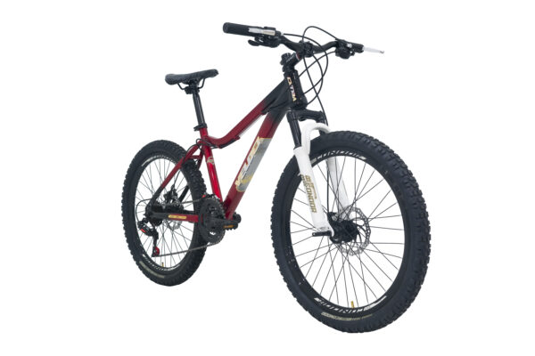 Bicicleta Veloci Wanderer S/Del R24 Rojo