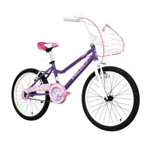 Bicicleta Veloci Madel City R20 Morado