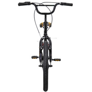 Bicicleta Veloci Phoenix BMX R20 Rojo
