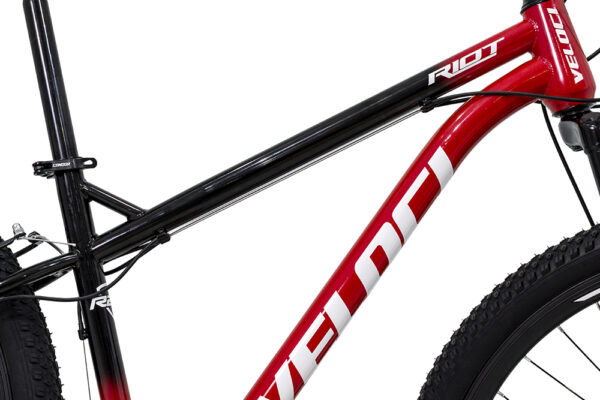 Riot R29