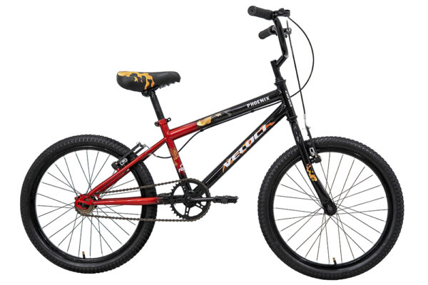 Phoenix BMX R20